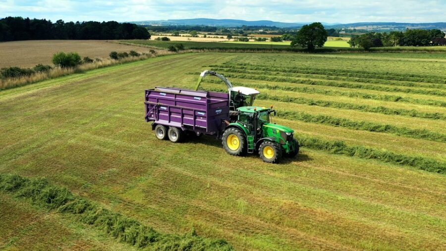 Purple tractor in a field of beautiful hay being harvested.